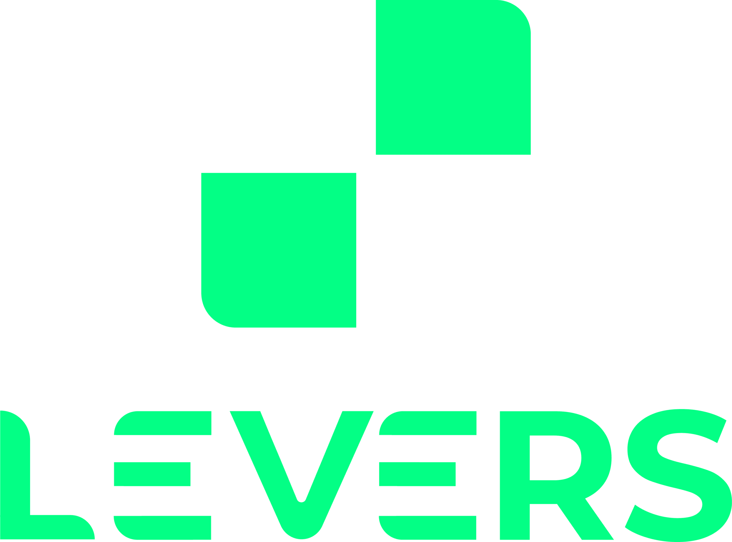 Logo LEVERS